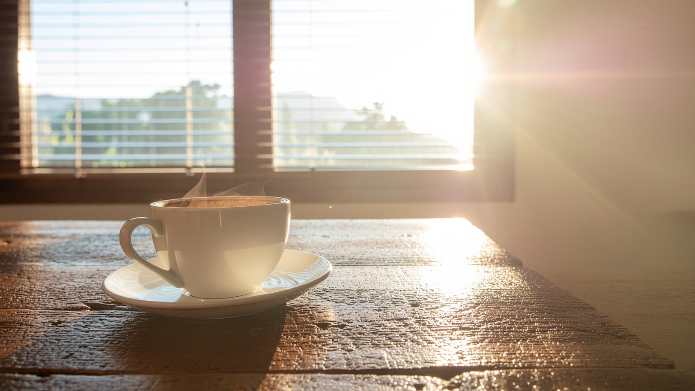 Hochwertige Holz-ALuminiumm Fenster für energieeffiziente Sanierung – langlebige Fensterlösung mit natürlicher Holzoptik und wetterfester Aluminium-Außenschale